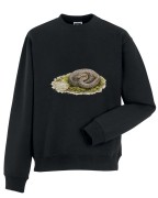 Gniewosz plamisty /Coronella austriaca/ - Bluza z wężem - Prezent dla herpetologa - Bluza