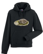 Gniewosz plamisty /Coronella austriaca/ - Bluza z wężem - Prezent dla herpetologa - Bluza