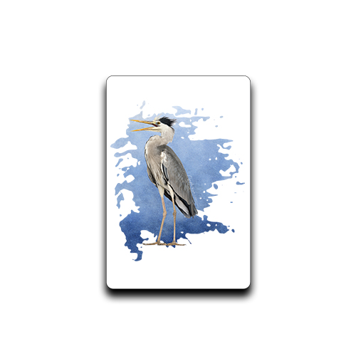 Czapla siwa /Ardea cinerea/ - prezent dla ornitologa - Magnes