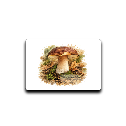 Magnes z borowikiem szlachetnym (Boletus edulis) - autorska grafika Pauliny Strejczek-Jaźwińskiej. Wymiary 7x4,5 cm. Kolekcja Borowik szlachetny, Człowiek z Lasu.