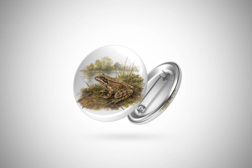 Żaba trawna /Rana temporaria/ – prezent dla herpetologa - Przypinka - Button