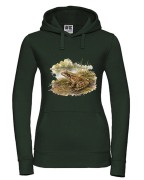Żaba trawna /Rana temporaria/ – prezent dla herpetologa - Bluza z kapturem / Bluza bez kaptura