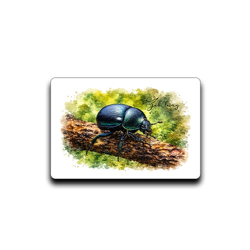 Żuk leśny - Anoplotrupes stercorosus - Prezent dla entomologa - Magnes