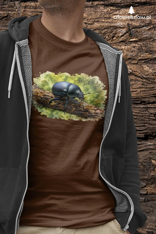brazCzzl.jpg