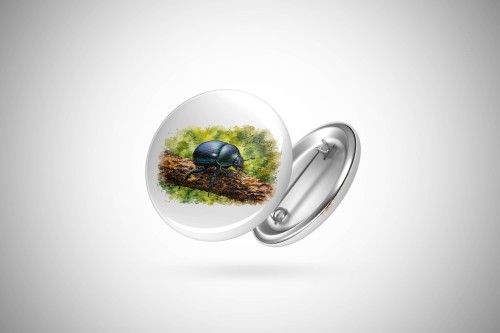 Żuk leśny - Anoplotrupes stercorosus - Prezent dla entomologa - Przypinka