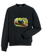 Żuk leśny - Anoplotrupes stercorosus - Prezent dla entomologa - Bluza