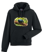 Żuk leśny - Anoplotrupes stercorosus - Prezent dla entomologa - Bluza