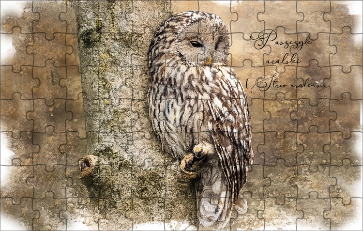 Puszczyk uralski / Strix uralensis / - prezent dla ornitologa - Puzzle 120 i 252 elementów