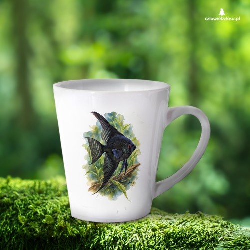 Skalar czarny /Pterophyllum scalare/- Kubek latte