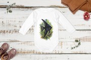 Skalar czarny /Pterophyllum scalare/ - Body - Bodziak