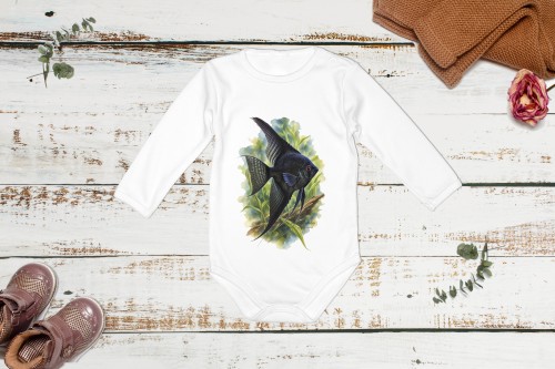 Skalar czarny /Pterophyllum scalare/ - Body - Bodziak
