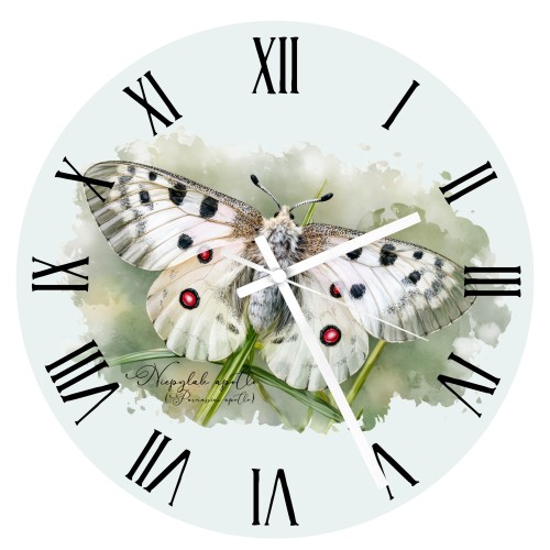 Zegar - Niepylak apollo /Parnassius apollo/ prezent dla Lepidopterologa, prezent dla entomologa