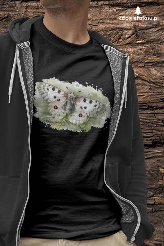 Niepylak apollo /Parnassius apollo/ - prezent dla Lepidopterologa, prezent dla entomologa - Koszulka damska / męska