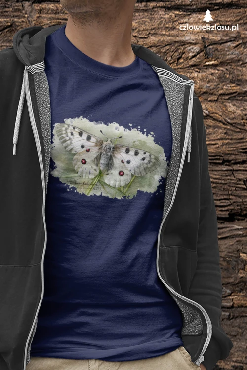 Niepylak apollo /Parnassius apollo/ - prezent dla Lepidopterologa, prezent dla entomologa - Koszulka damska / męska