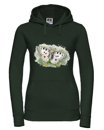 Niepylak apollo /Parnassius apollo/ - prezent dla Lepidopterologa, prezent dla entomologa - Bluza z kapturem / Bluza bez kaptura