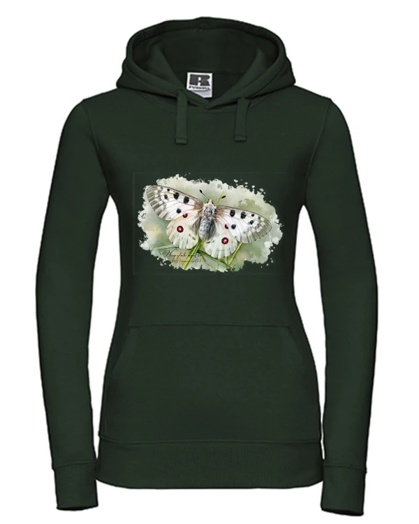 Niepylak apollo /Parnassius apollo/ - prezent dla Lepidopterologa, prezent dla entomologa - Bluza z kapturem / Bluza bez kaptura