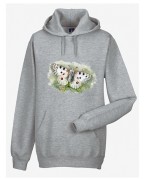 Niepylak apollo /Parnassius apollo/ - prezent dla Lepidopterologa, prezent dla entomologa - Bluza z kapturem / Bluza bez kaptura