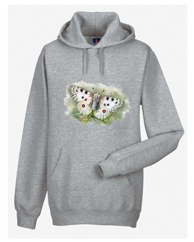 Niepylak apollo /Parnassius apollo/ - prezent dla Lepidopterologa, prezent dla entomologa - Bluza z kapturem / Bluza bez kaptura