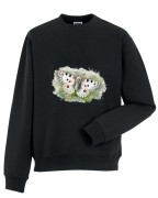 Niepylak apollo /Parnassius apollo/ - prezent dla Lepidopterologa, prezent dla entomologa - Bluza z kapturem / Bluza bez kaptura
