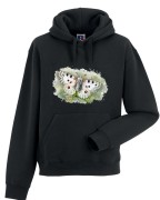 Niepylak apollo /Parnassius apollo/ - prezent dla Lepidopterologa, prezent dla entomologa - Bluza z kapturem / Bluza bez kaptura