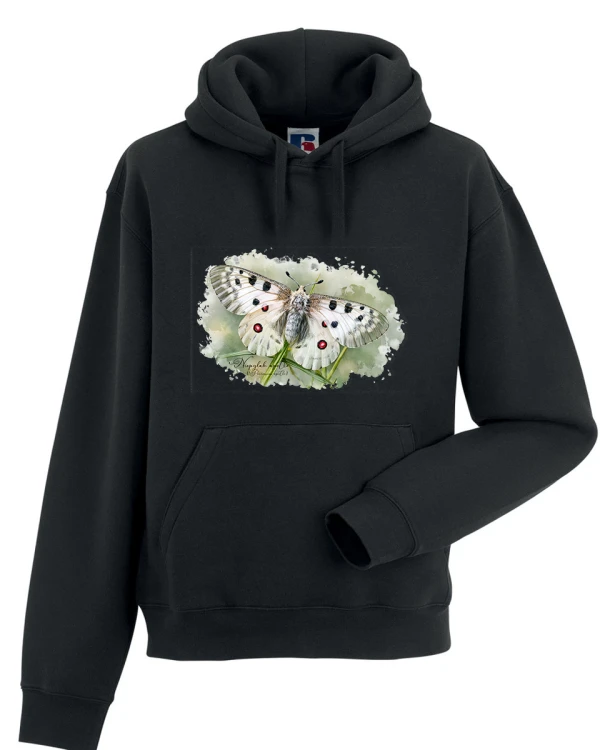 Niepylak apollo /Parnassius apollo/ - prezent dla Lepidopterologa, prezent dla entomologa - Bluza z kapturem / Bluza bez kaptura