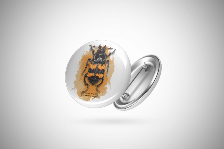 pin.jpg